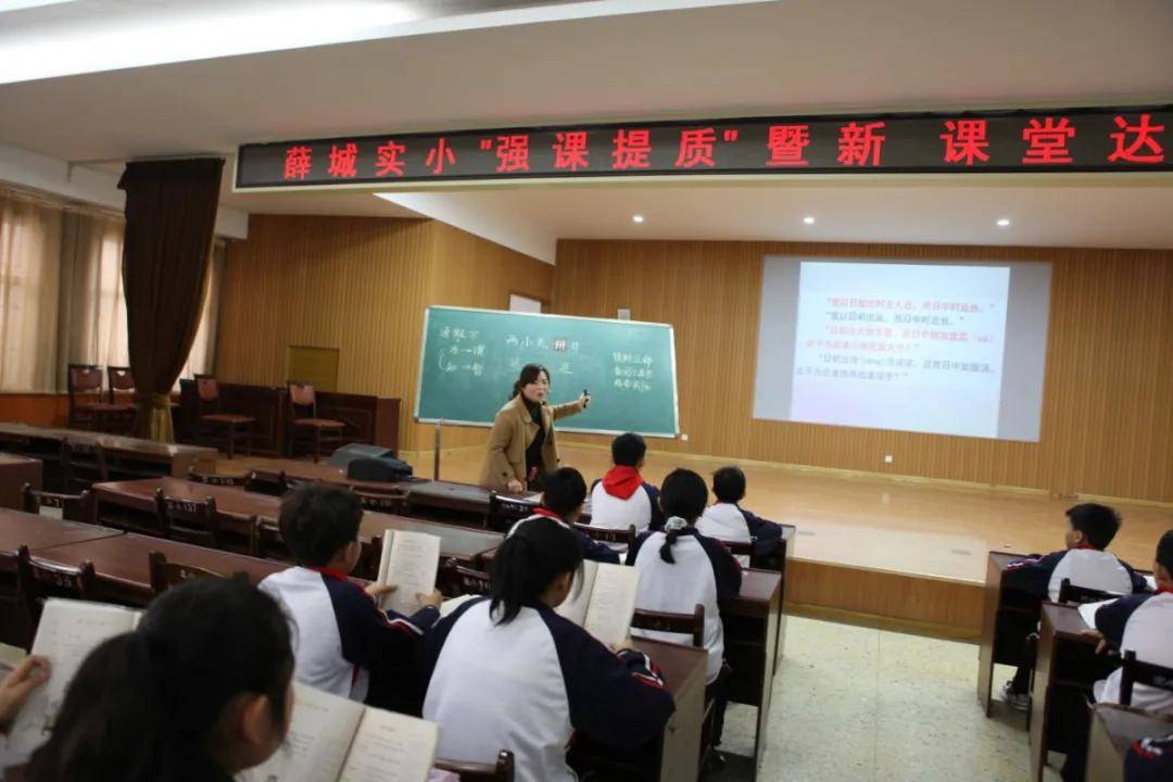 薛城区小学最新招聘信息概览，最新薛城区小学招聘动态更新通知