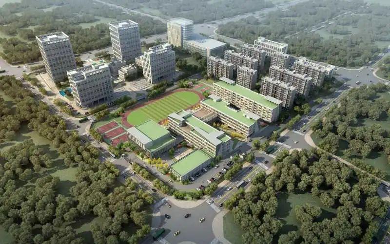 南洲街道新项目重塑城市面貌，推动社区发展进展更新报道