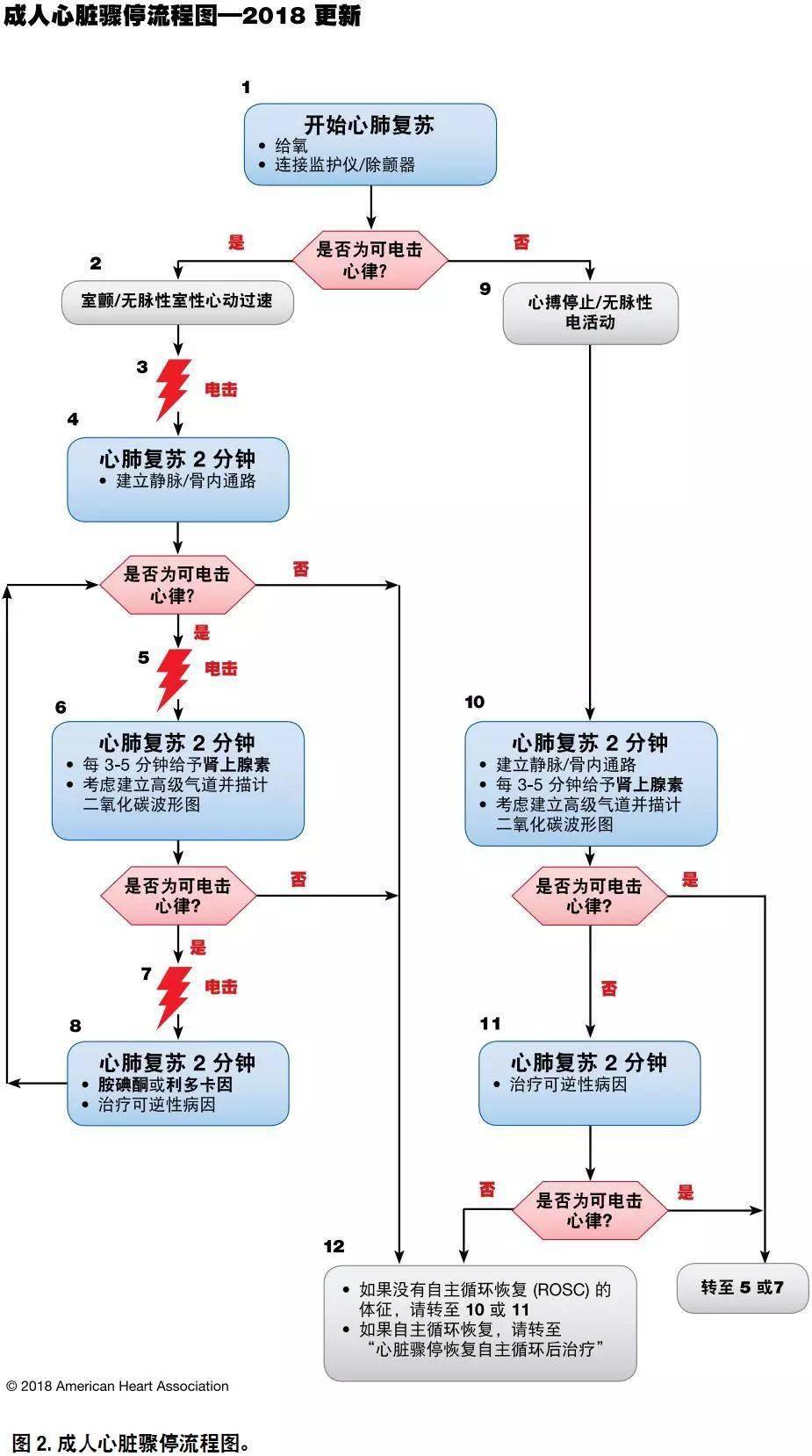 最新心肺复苏指南2025重塑急救标准，拯救生命的关键之道