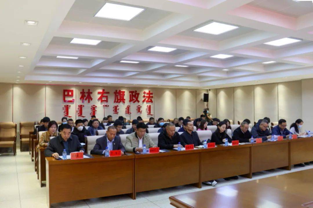 巴林左旗统计局最新项目，开启数据世界探索新篇章