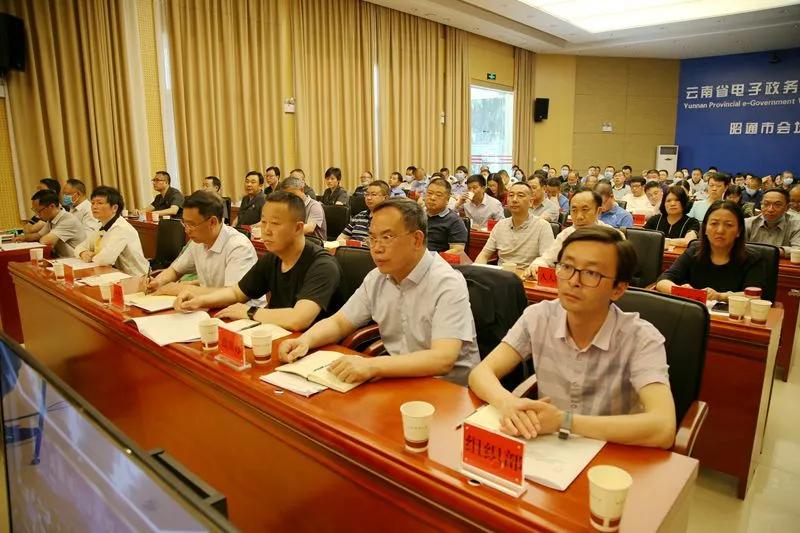 见义勇为最新进展，社会正能量的彰显与反思
