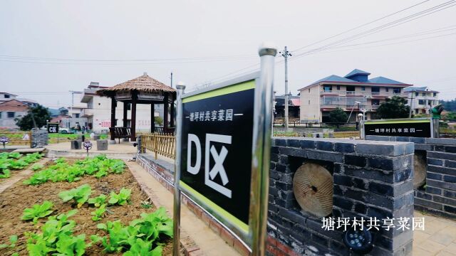 塘渡口镇最新发展规划概览