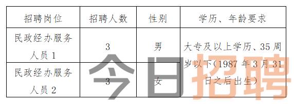 咸安区卫生健康局最新招聘信息揭秘，岗位、要求与申请细节全解析