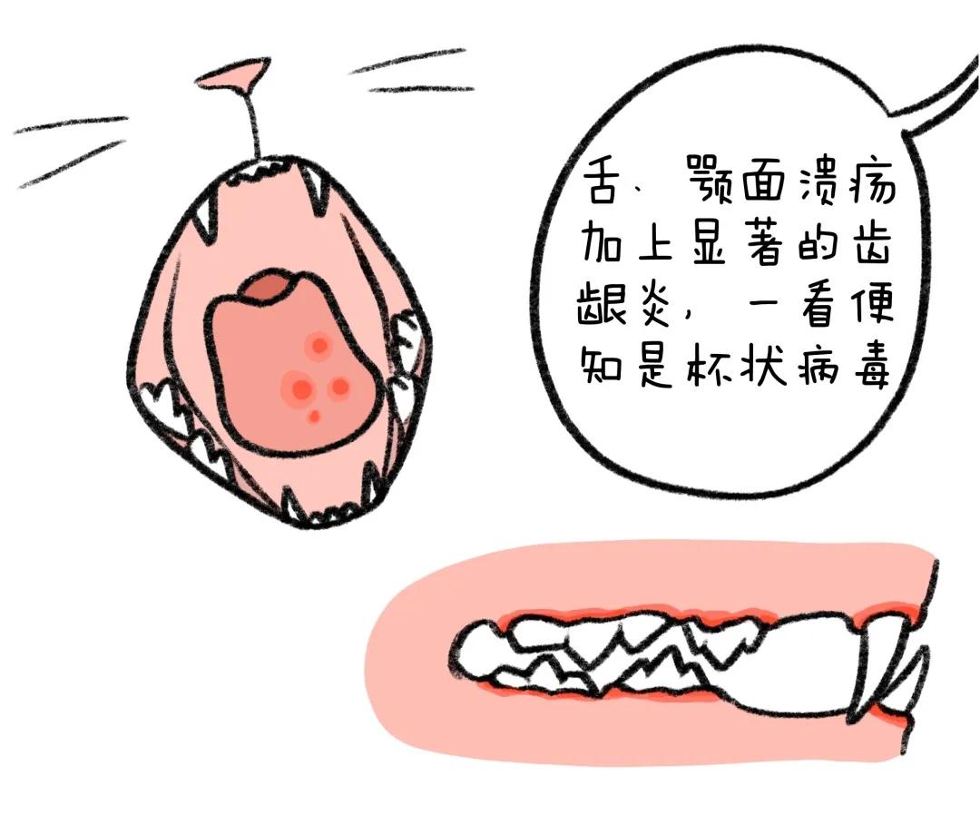 新状病毒最新全国疫情分析报告，全国疫情趋势分析与发展动态观察