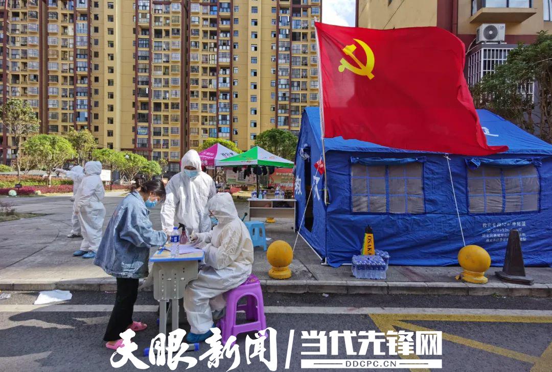 杉板乡交通迈向现代化新篇章，最新交通新闻解析