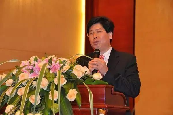 天喔林建华的最新动态与成就概览