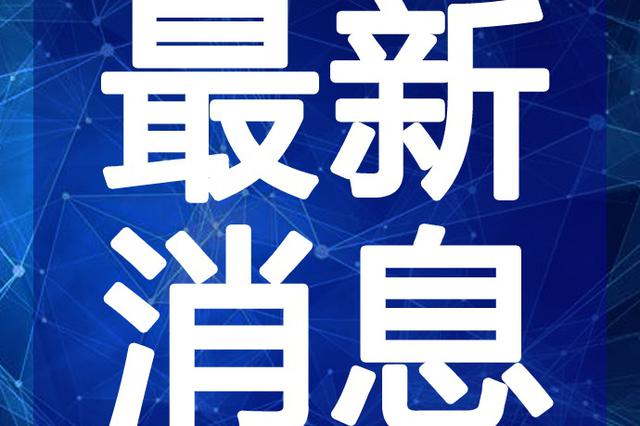 陈坤志最新动态，新动向与成就探寻