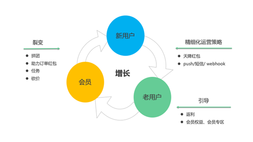 2025新澳天天开奖资料大全｜数据驱动计划