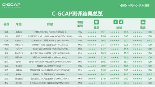 2024澳门正版免费资木车｜全面分析说明