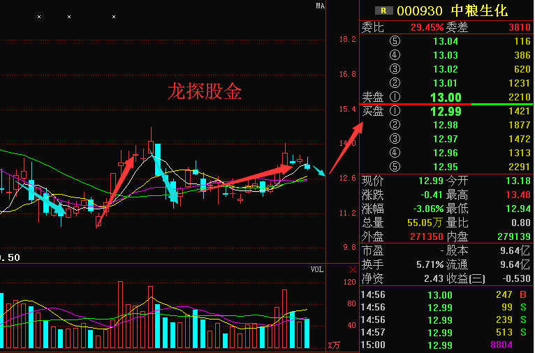 澳门天天免费精准大全,权威分析解释定义