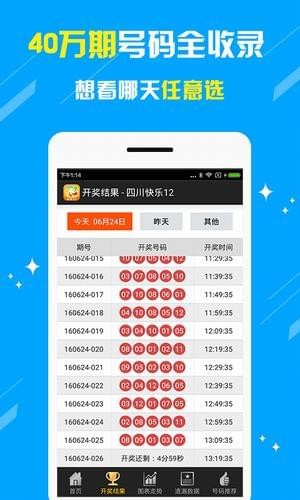 新奥门开彩记录查询,数据说明解析