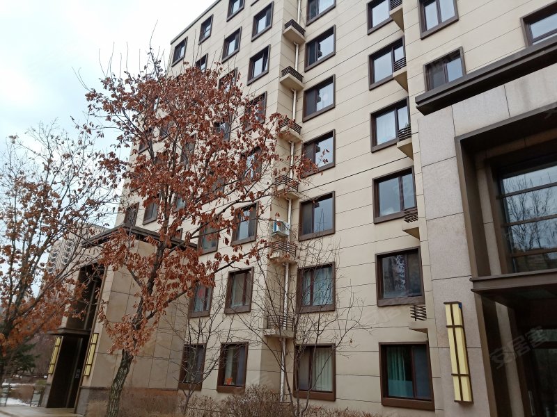 伟峰东樾最新动态，城市新地标崛起
