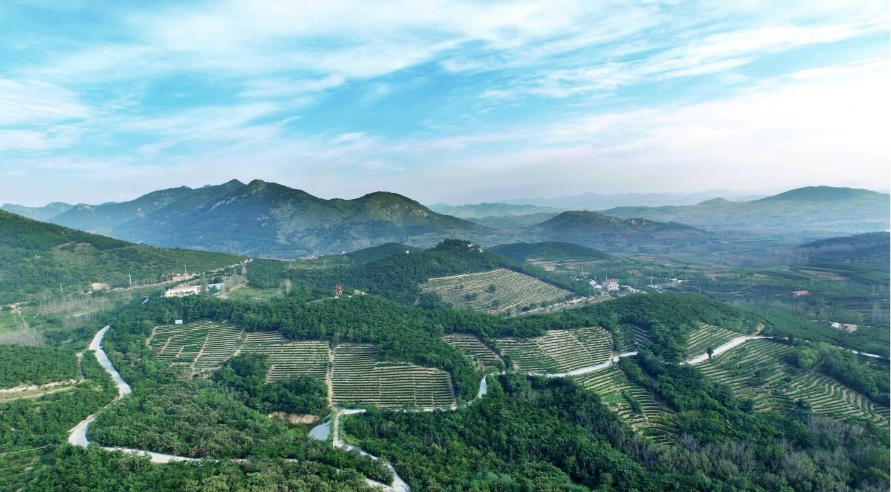 山东省最新案例研究，探索前沿进展与启示的启示