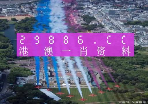 澳门一肖一码一待一中,专业分析解释定义