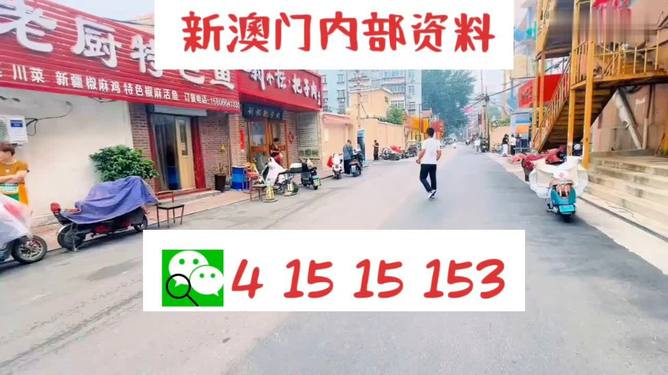新澳天天开好彩大全正版,精细方案实施