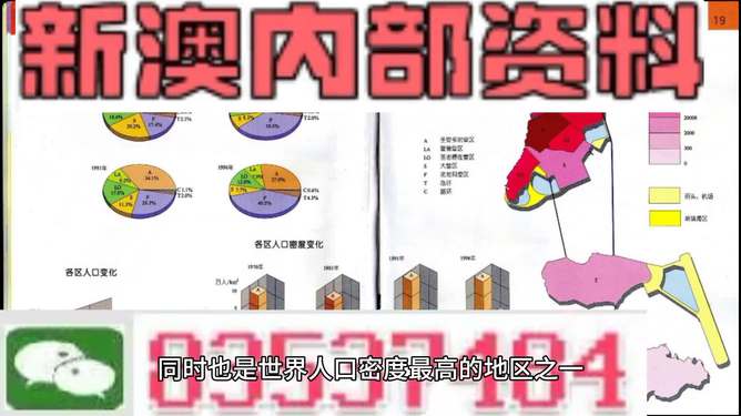 新澳门精准资料大全管家婆料,稳定设计解析_豪华版180.300