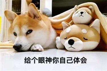 7777788888精准狗狗037期2-28-4-27-4-43T：47