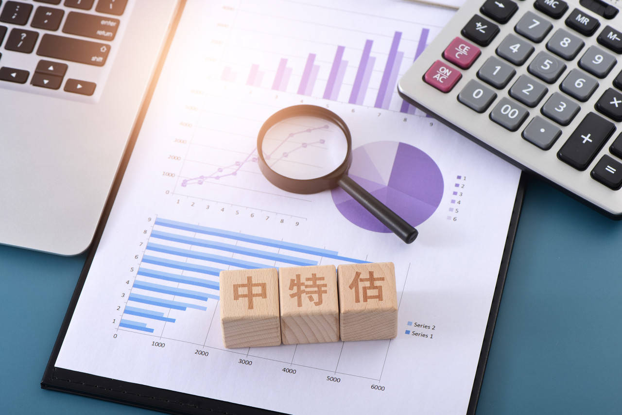 白小姐特准一肖中特｜确保成语解释落实的问题