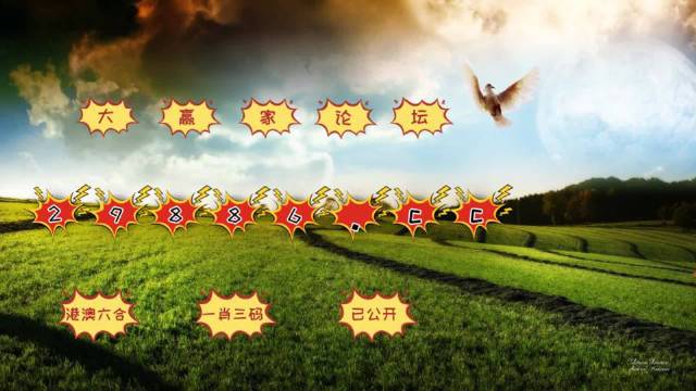 4949开奖免费资料澳门,组合释义解释落实_精装集1.565