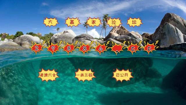 2025澳门天天开好彩,创新策略解析_2D55.873