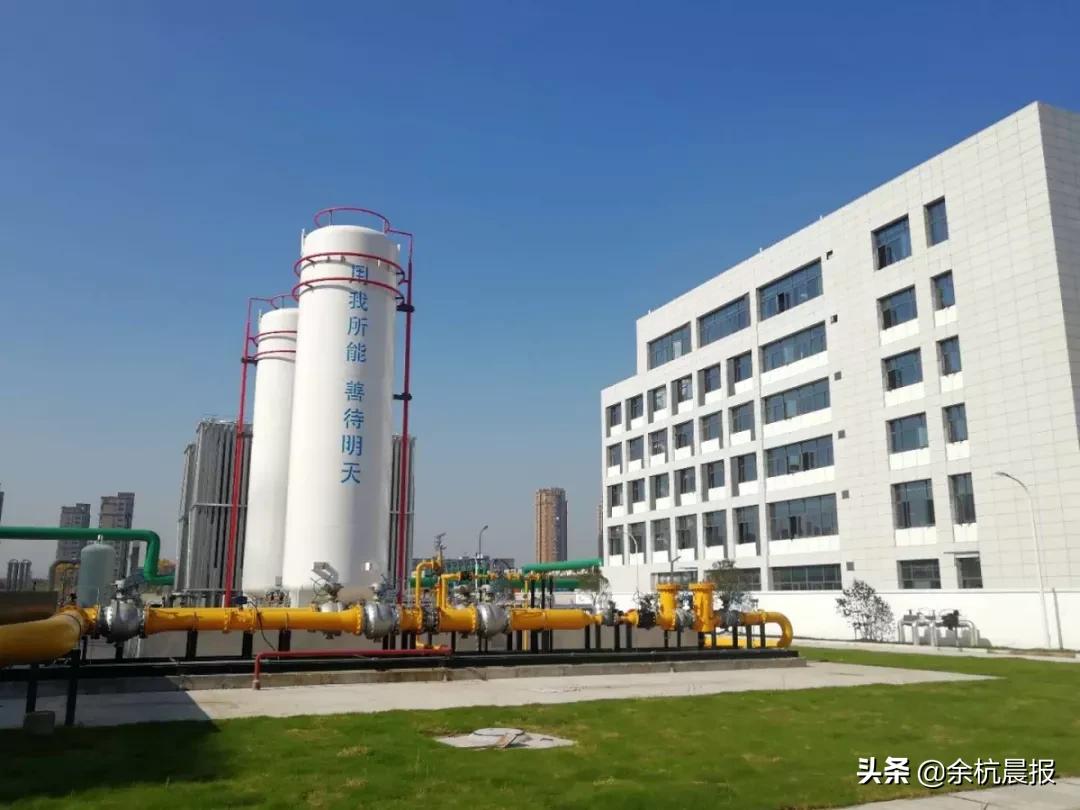 新奥最精准免费大全功能介绍｜实践分析解析说明