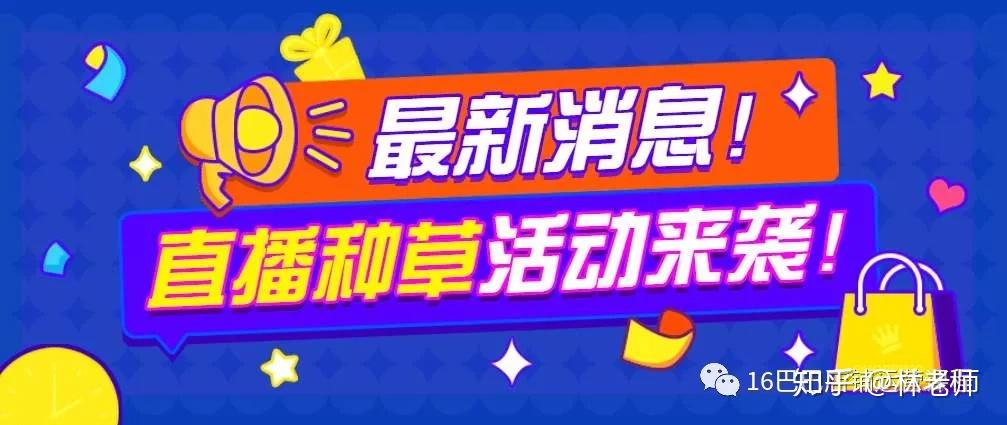 澳门管家婆100中,专注执行解答解释_还原款58.354