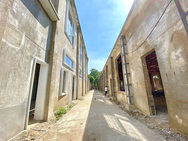 造纸街道重塑城市风貌，最新项目推动可持续发展之路