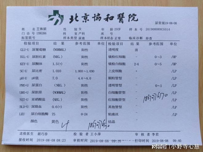 沈阳最新感染病例，全面应对，坚定信心