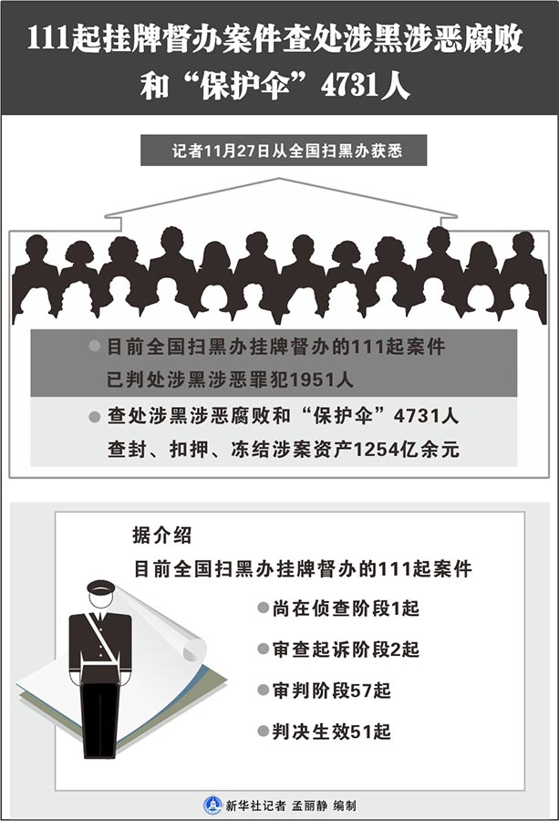 全国最新涉黑案件深度解析与报道