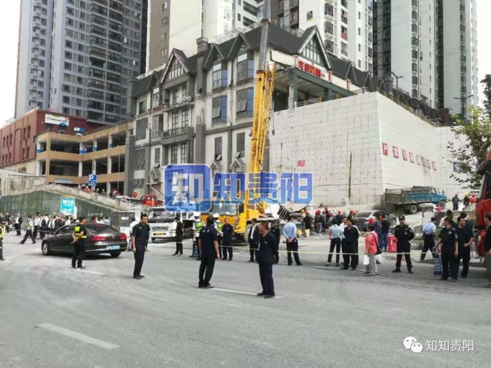 九鹏鲸 第2页
