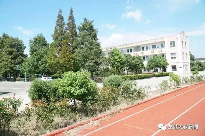 芦浦镇最新领导团队引领地方发展，展现领导风采