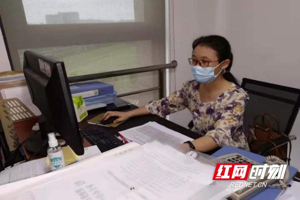 云龙区人民政府办公室最新项目概览