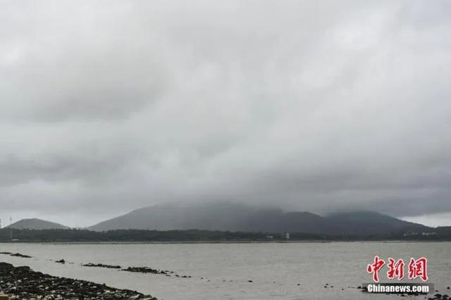 鹦鹉台风最新动态，天气预报、影响及应对建议