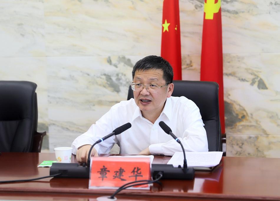 白驼镇最新项目，引领地方发展的强大动力源泉