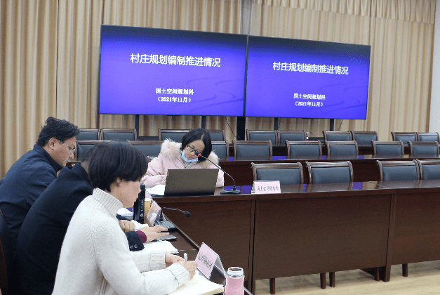 辰溪县自然资源和规划局领导团队最新概述，领导成员一览表