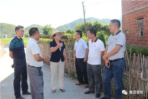 渔涝镇未来繁荣蓝图，最新发展规划揭秘