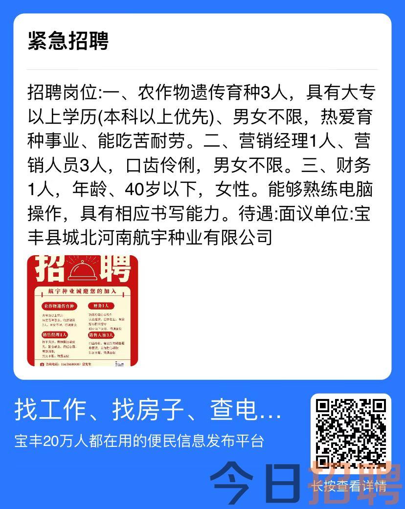 粮丰村最新招聘信息概览，寻找优秀人才共创美好未来！