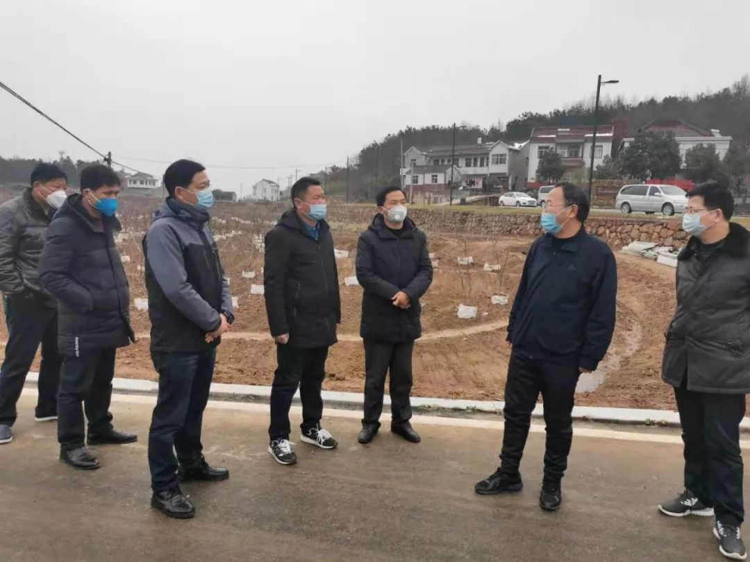 罗河镇领导团队更新，引领未来，共筑新篇章的领航者