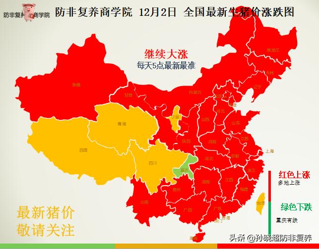 中国最新生猪价格动态分析与趋势预测