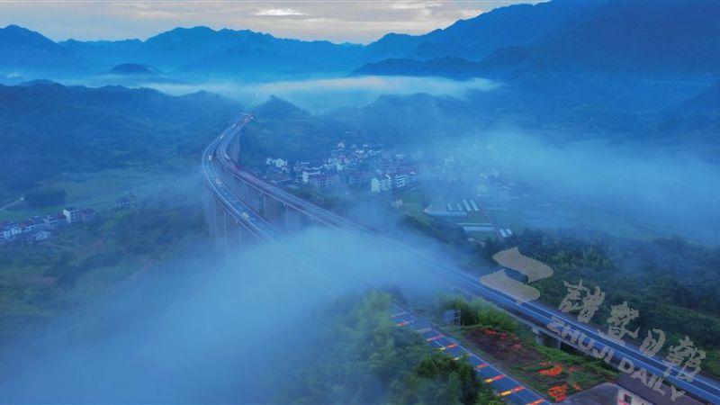陈宅镇最新新闻动态报道