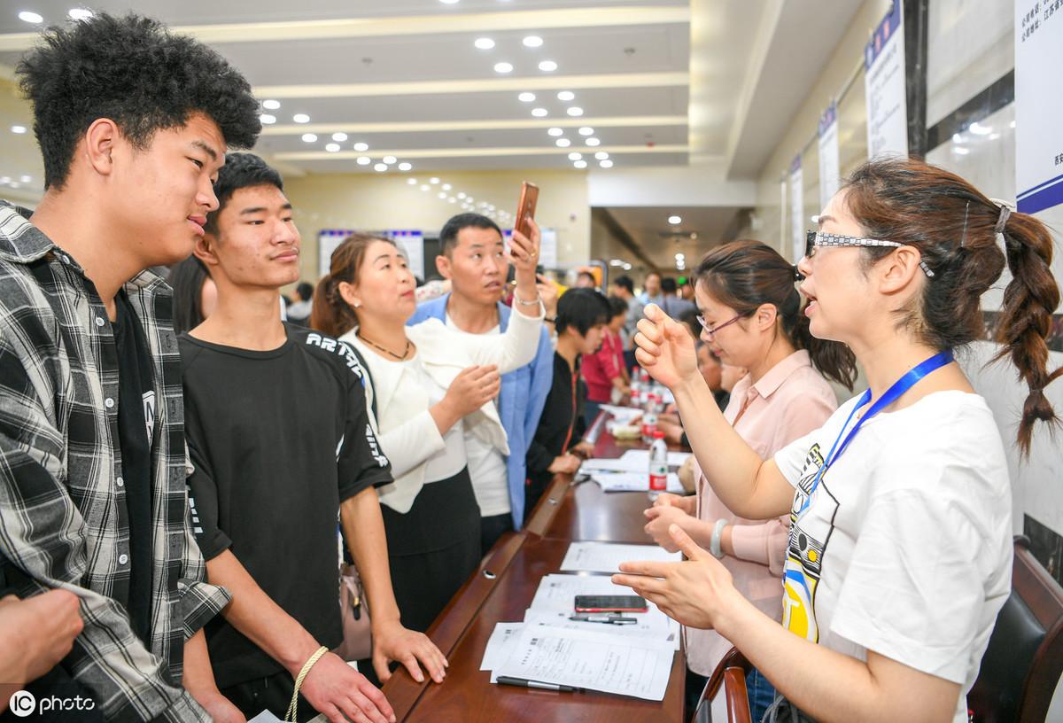 茄子河区人民政府办公室最新招聘信息揭秘，详解招聘细节与要求