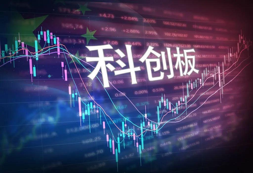 特斯拉股票最新价格动态分析与实时行情概述