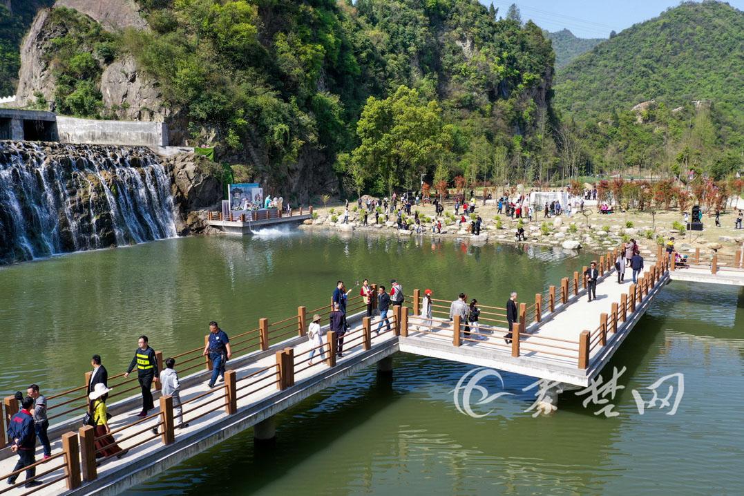 十竹路最新动态，探索未来，新生之路的焕新之旅