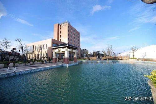 海蜇头最新价格及市场动态分析，洞悉市场动态，把握市场机遇