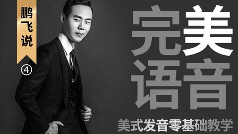 权谋张鹏飞最新全集，深度解析与探讨专题