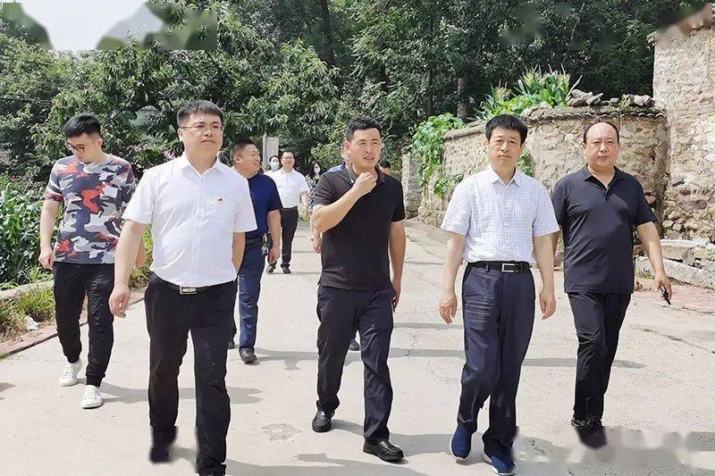 官场乡最新项目，引领乡村发展的先锋力量