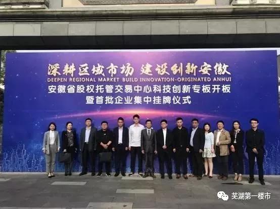 芜湖县财政局最新项目概览，探索财政新动向