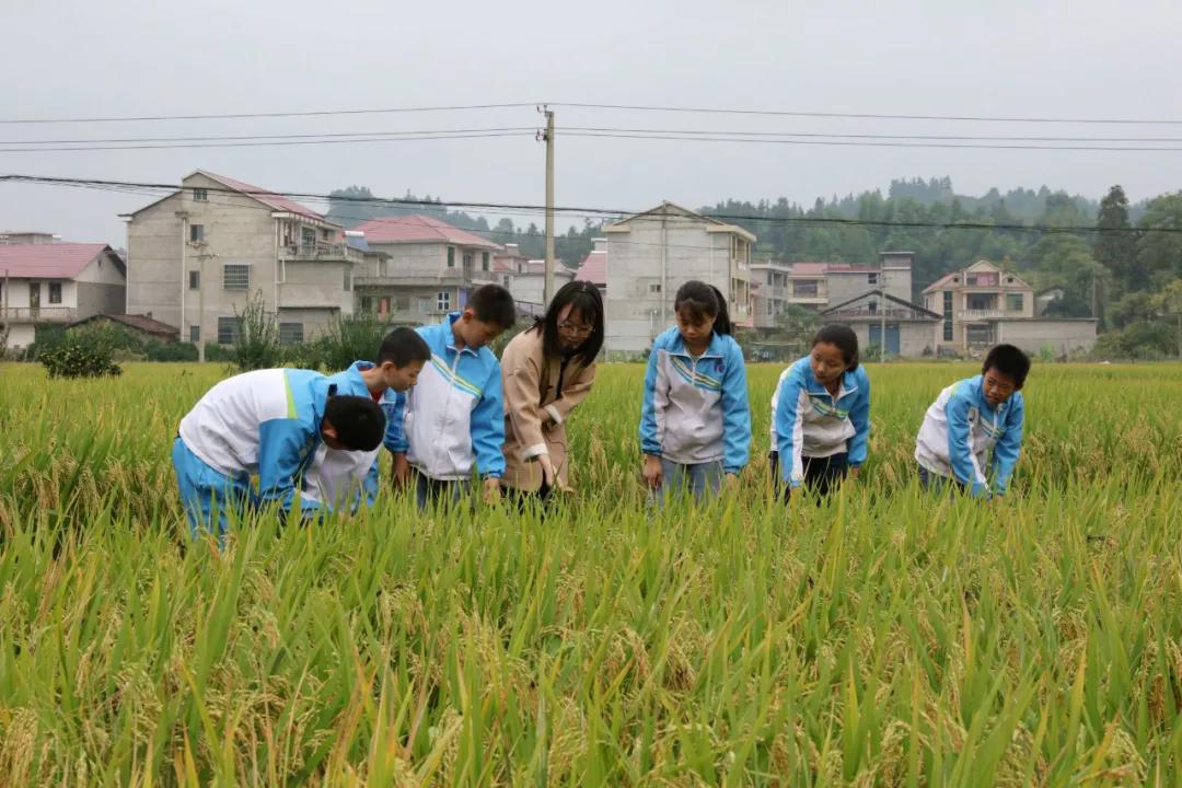南丰县小学最新领导概览，新任领导团队一览无余