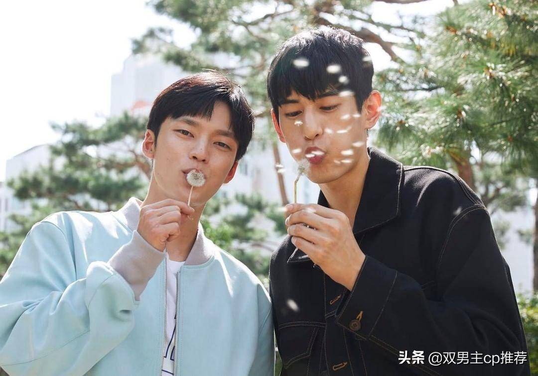 最新日韩腐剧探索与赏析，深度解读热门剧集魅力