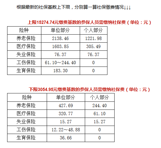 最新社保个人缴纳比例详解与指南